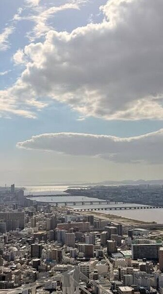 大白鲨水果机打法-大白鲨水果机打法，策略与技巧